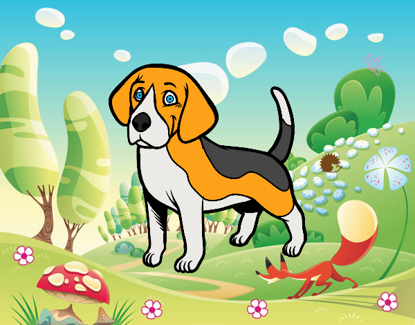 Perro Beagle