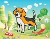 Perro Beagle