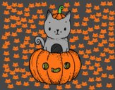 Un gatito de Halloween