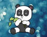 Un oso panda