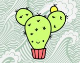 Cactus nopal