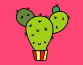 Cactus nopal