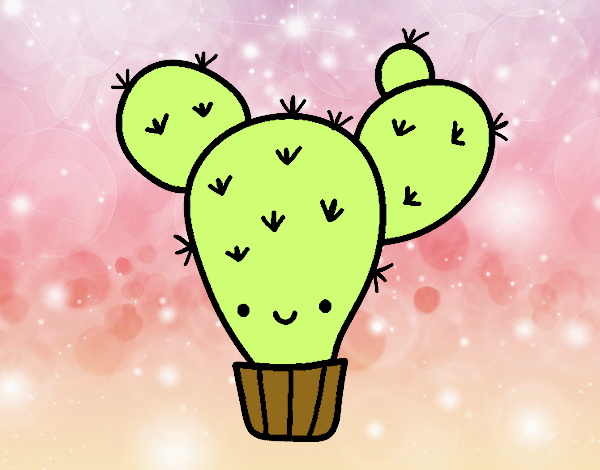 Cactus nopal