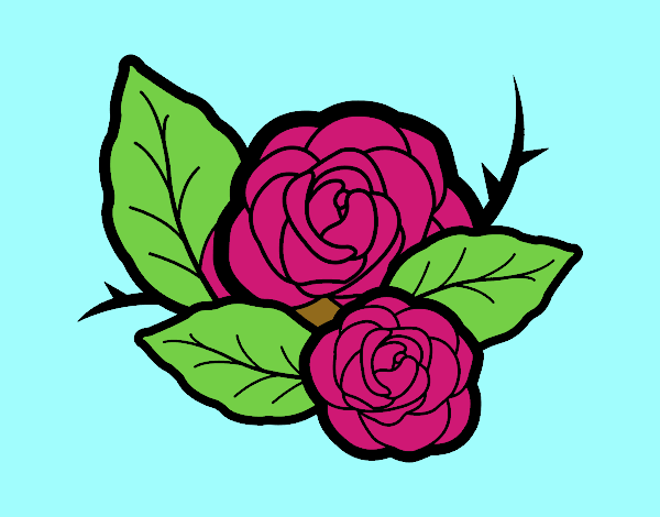 Dos rosas