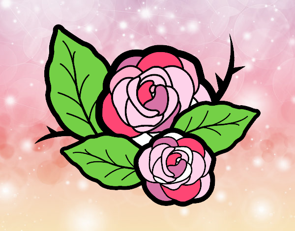 Dos rosas