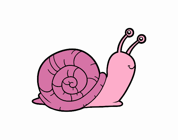 El caracol