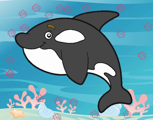 Orca joven