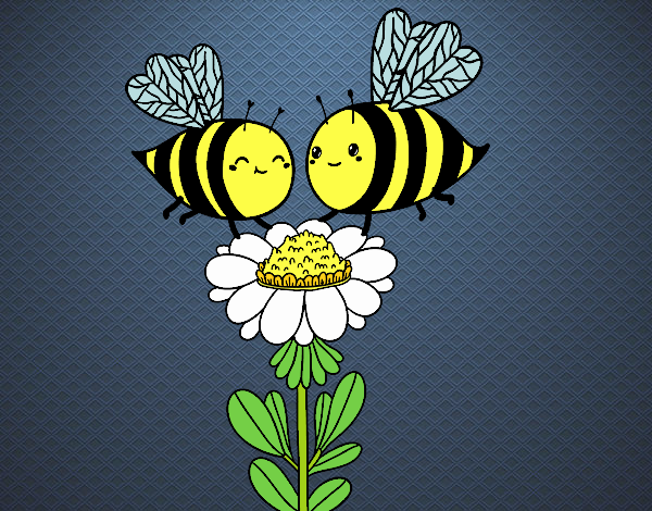 Pareja de abejas