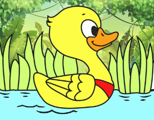 Patito de río