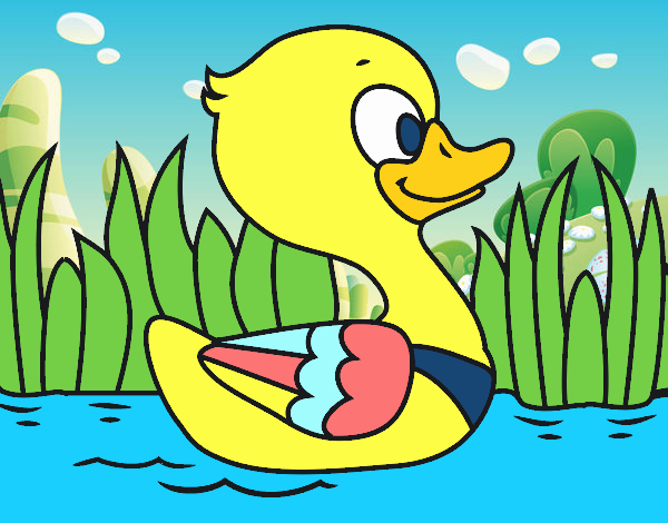 Patito de río