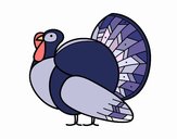 Un pavo