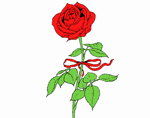 Una rosa