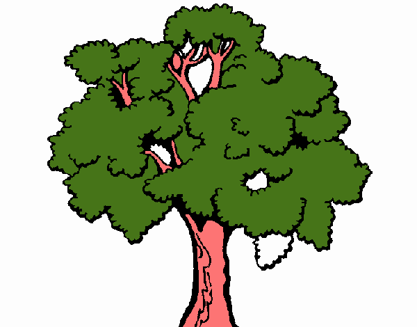 Árbol 1