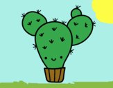 Cactus nopal