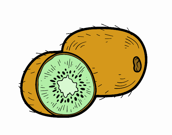 El kiwi