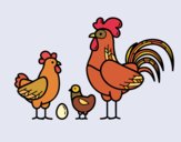 Familia gallina