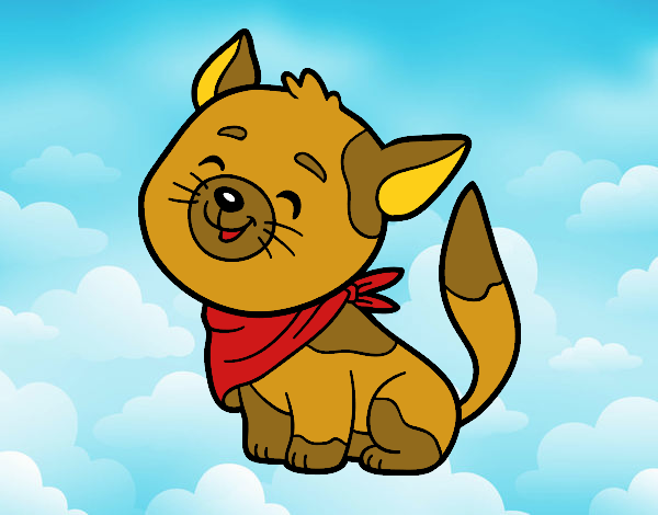 Gato con bandana