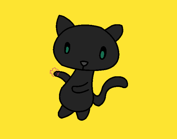 Gato Negro con pescado