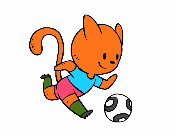 Gato jugando a fútbol