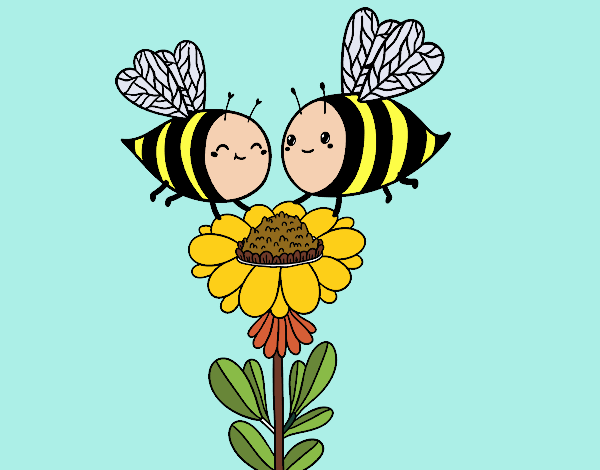 Pareja de abejas