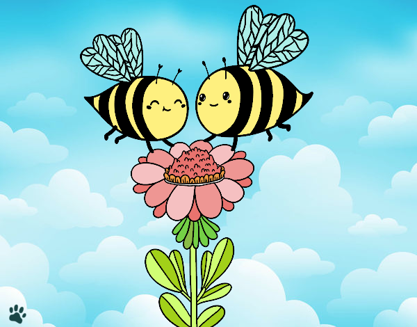 Pareja de abejas