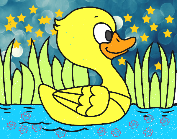 Patito de río