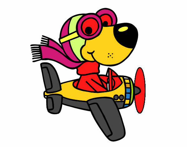 Perro piloto