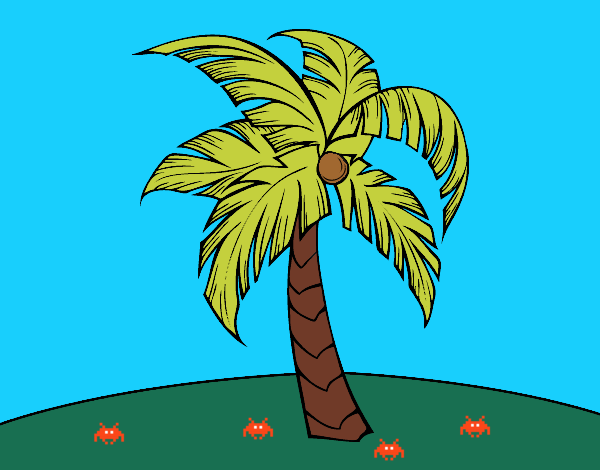 Una palmera