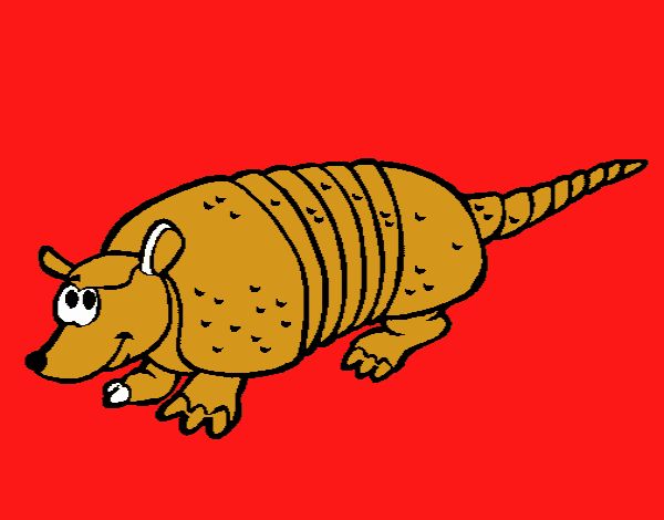 Armadillo