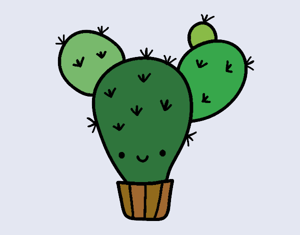 Cactus nopal