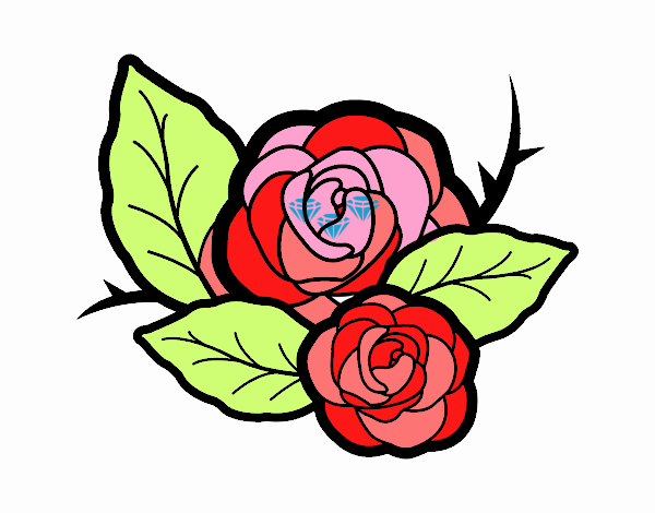 Dos rosas