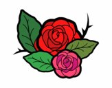 Dos rosas