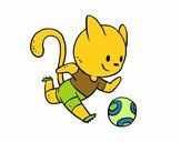 Gato jugando a fútbol