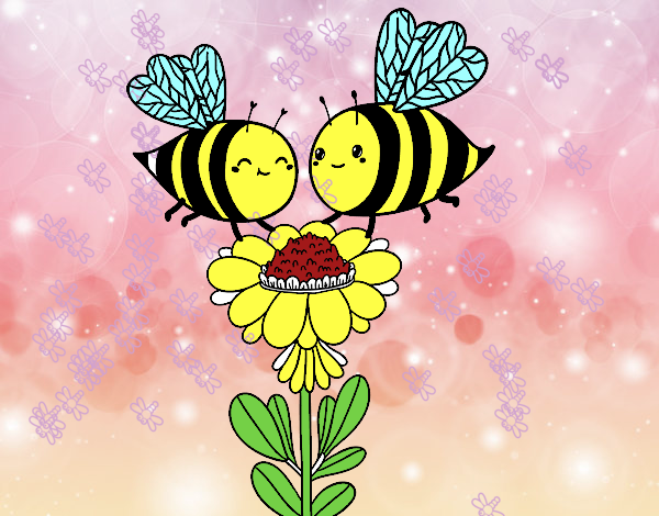 Pareja de abejas