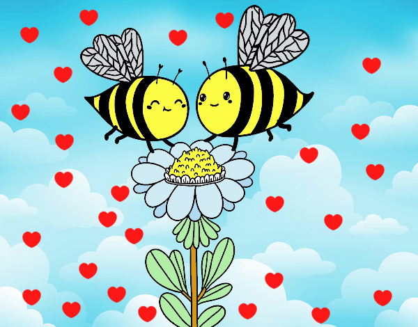 Pareja de abejas