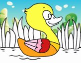 Patito de río