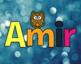 Amir