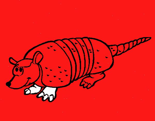 Armadillo