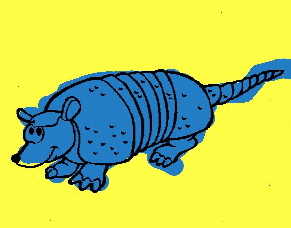 Armadillo