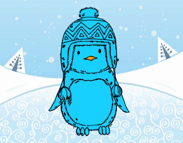 Bebé pingüino con gorrito