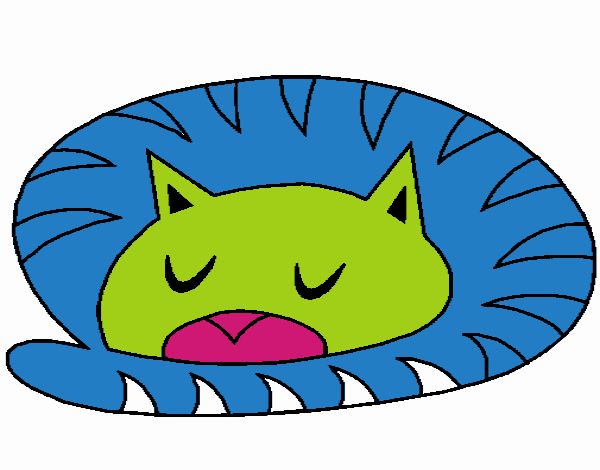 Gato durmiendo