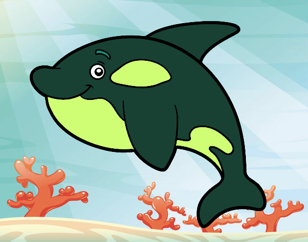 Orca verde