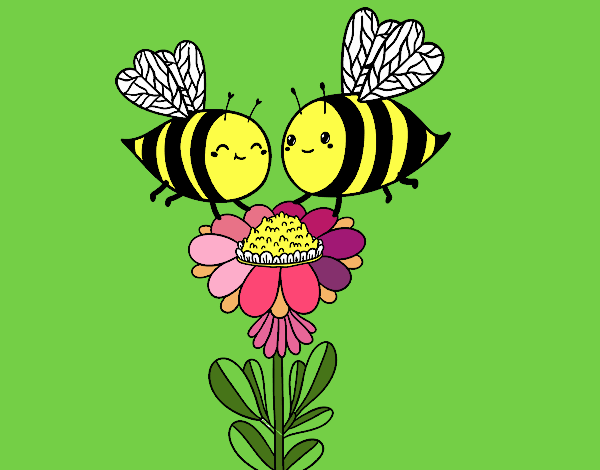 Pareja de abejas