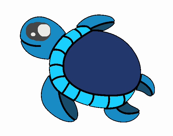 Tortuga de mar azul