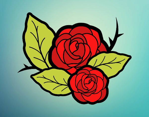 Dos rosas