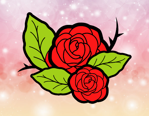 la  rosa   marabillosa