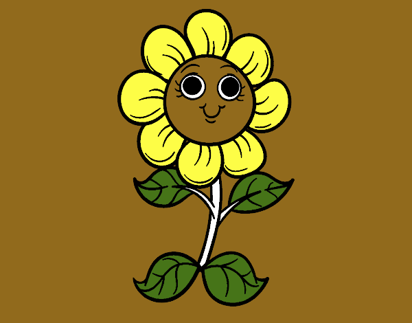 Florecilla