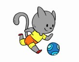 Gato jugando a fútbol