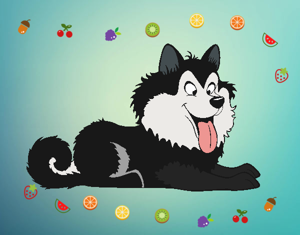 Los colores husky para comida las frutas VIDEOJUEGOS🎮