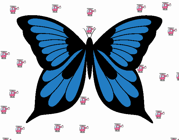 Mariposa 8